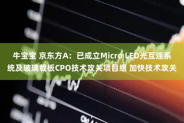 牛宝宝 京东方A：已成立Micro LED光互连系统及玻璃载板CPO技术攻关项目组 加快技术攻关