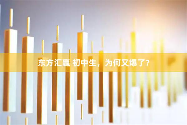 东方汇赢 初中生，为何又爆了？